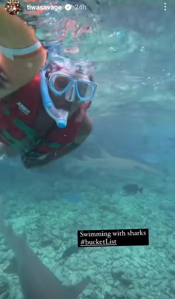 Tiwa Savage revealed that swimming with sharks was on her bucket list/Instagram @tiwasavage